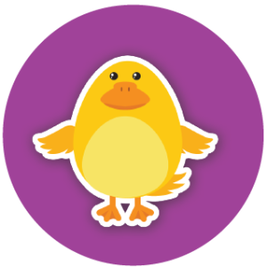 Duck Sticker Set