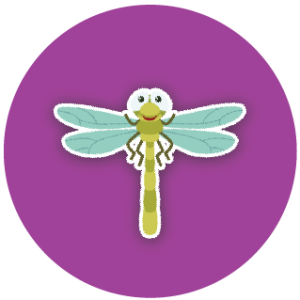 Dragonfly Sticker Set
